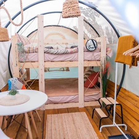 Hotel Dragonfly Gardens - The Wagons à Braşov Extérieur photo