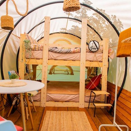 Hotel Dragonfly Gardens - The Wagons à Braşov Extérieur photo