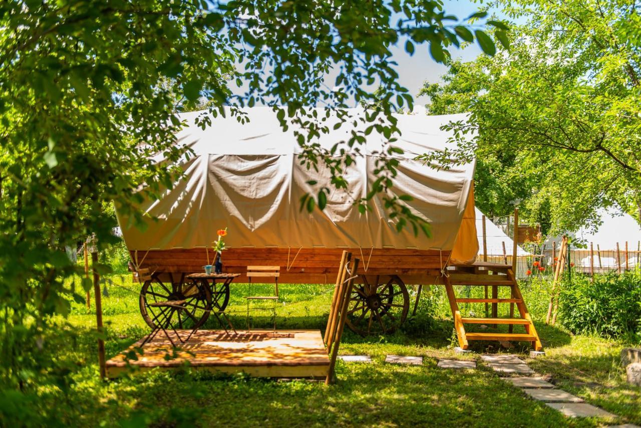 Hotel Dragonfly Gardens - The Wagons à Braşov Extérieur photo
