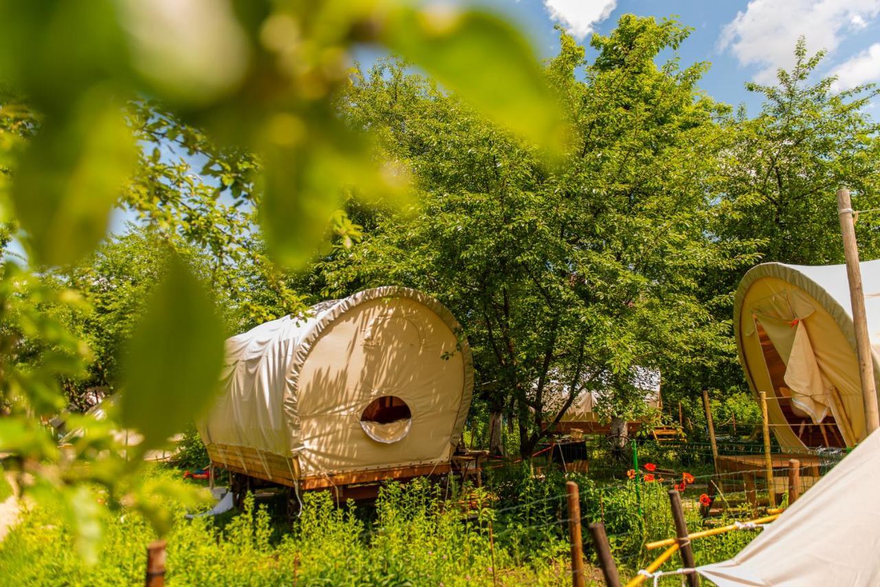 Hotel Dragonfly Gardens - The Wagons à Braşov Extérieur photo