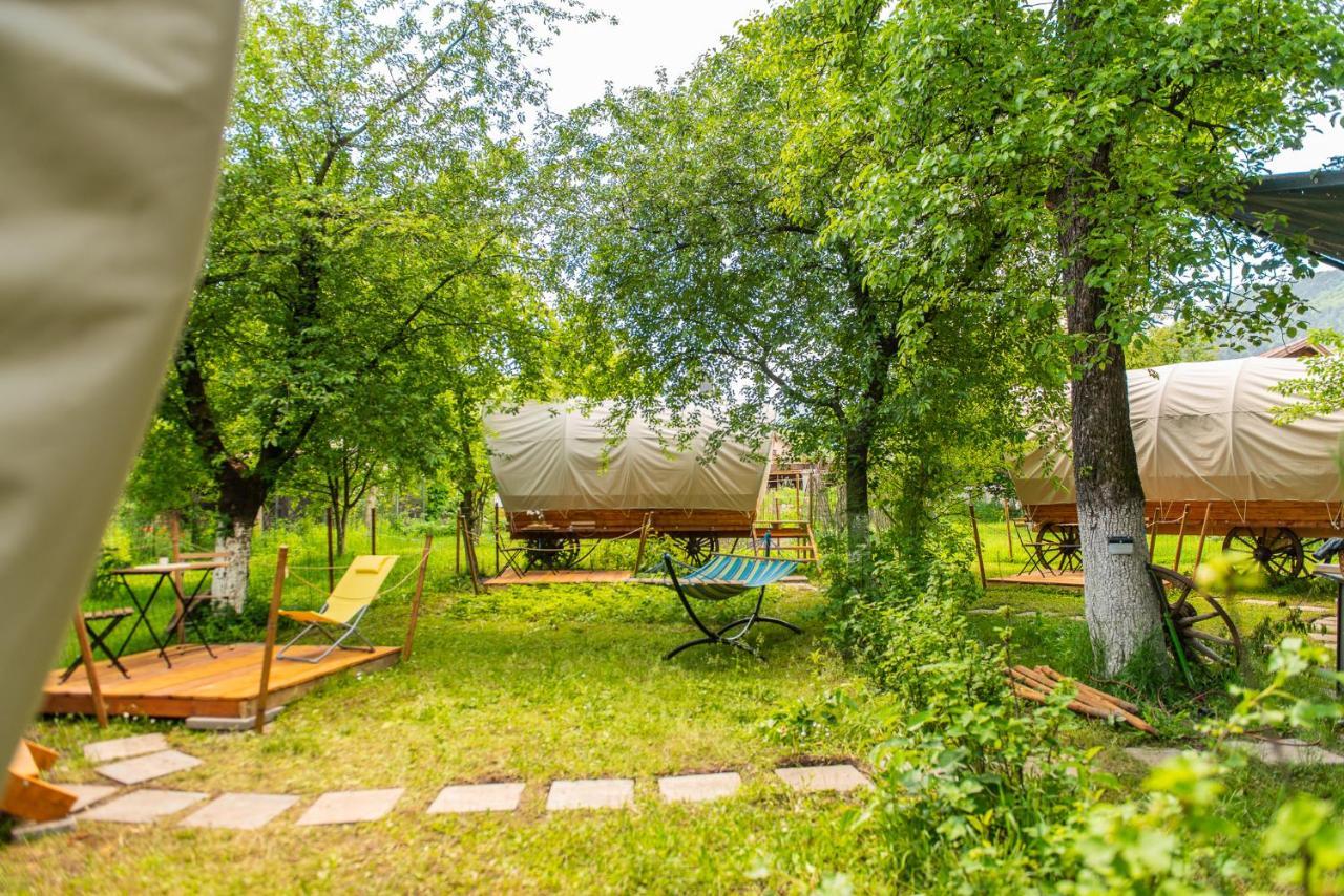 Hotel Dragonfly Gardens - The Wagons à Braşov Extérieur photo