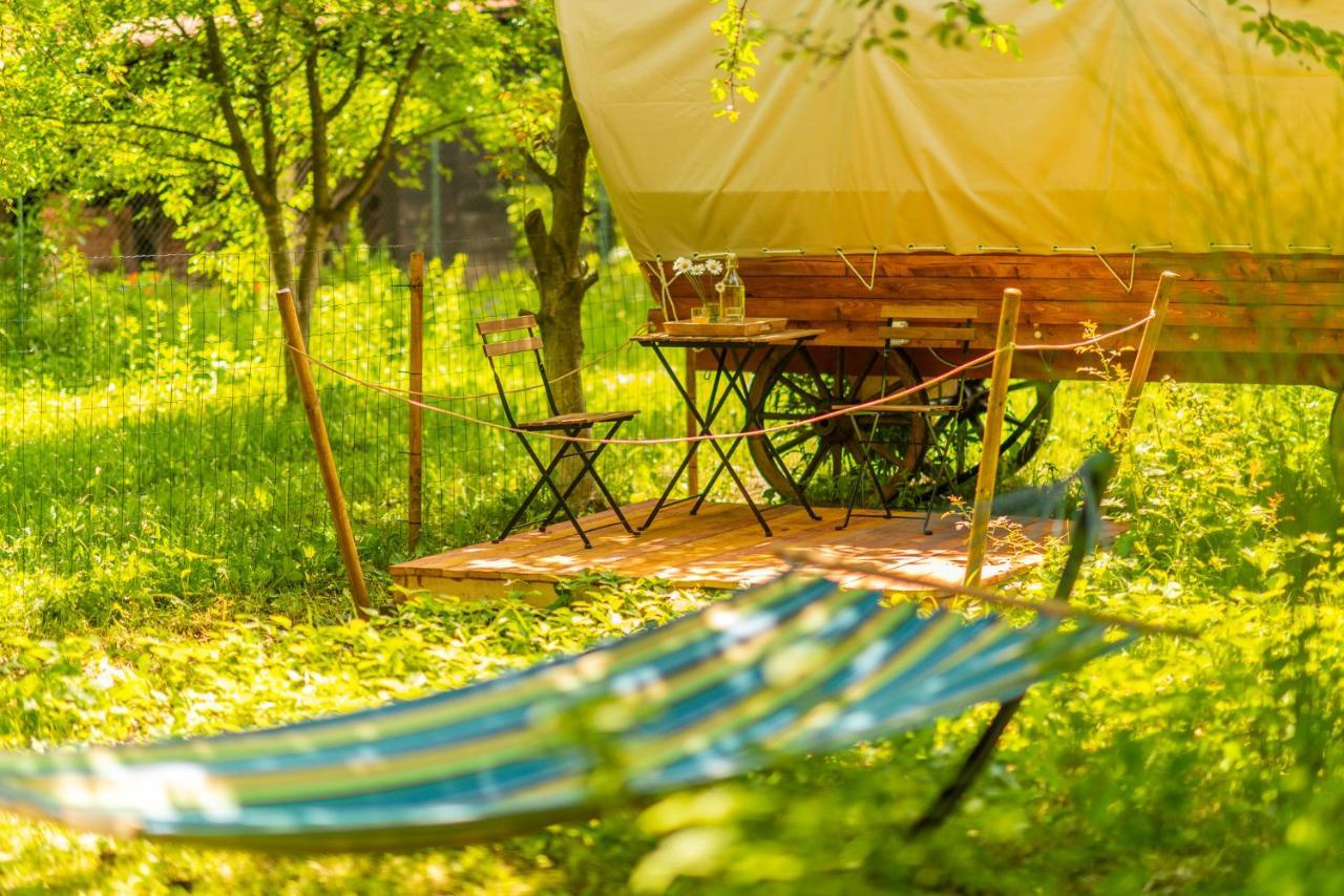 Hotel Dragonfly Gardens - The Wagons à Braşov Extérieur photo