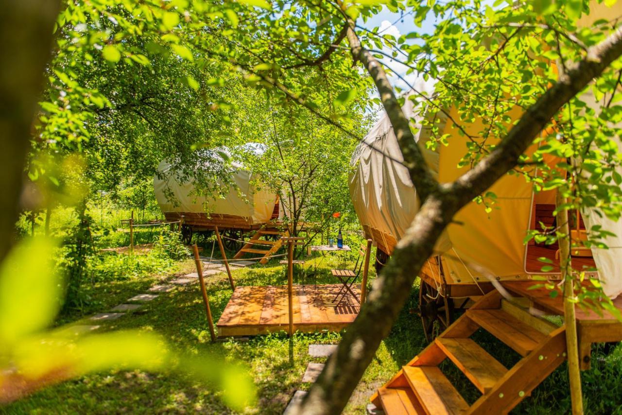 Hotel Dragonfly Gardens - The Wagons à Braşov Extérieur photo
