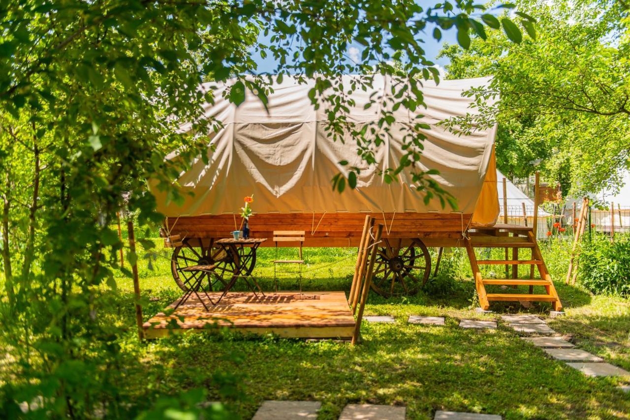 Hotel Dragonfly Gardens - The Wagons à Braşov Extérieur photo