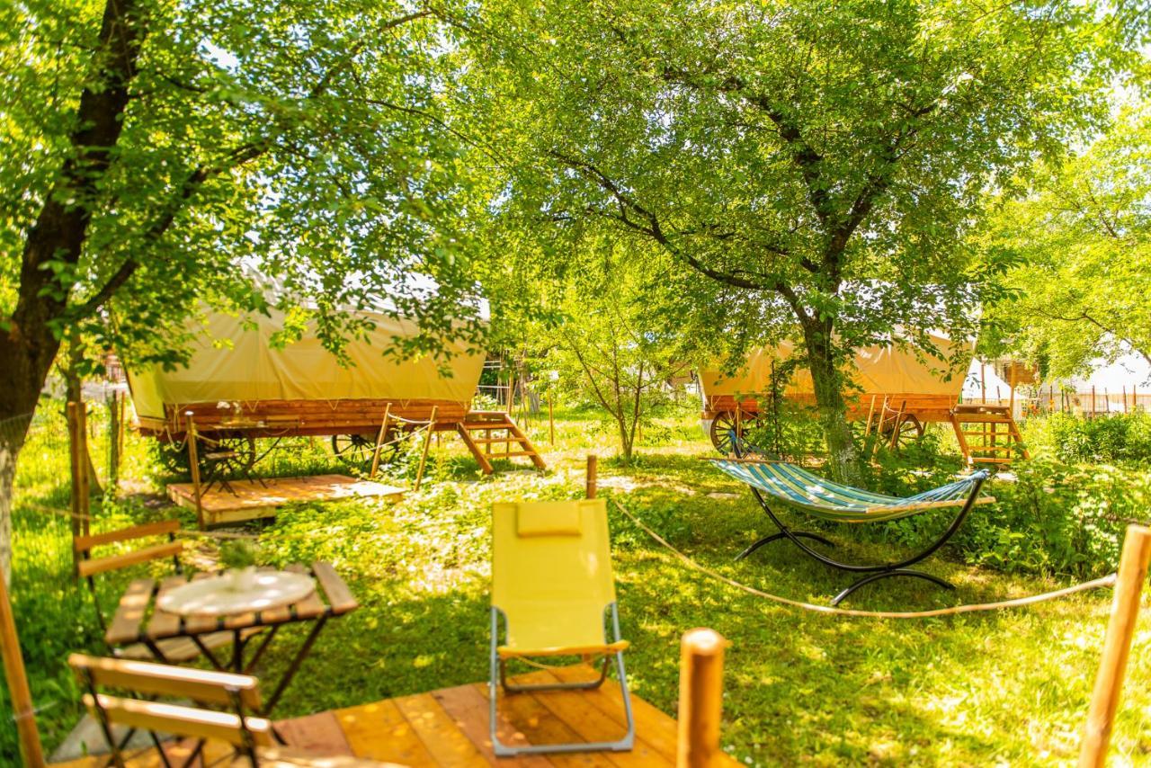 Hotel Dragonfly Gardens - The Wagons à Braşov Extérieur photo