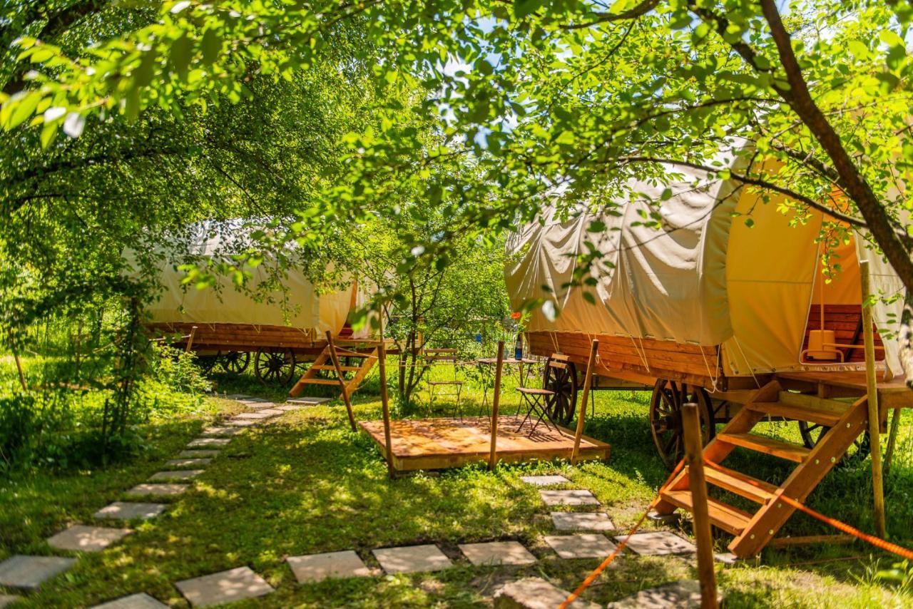 Hotel Dragonfly Gardens - The Wagons à Braşov Extérieur photo