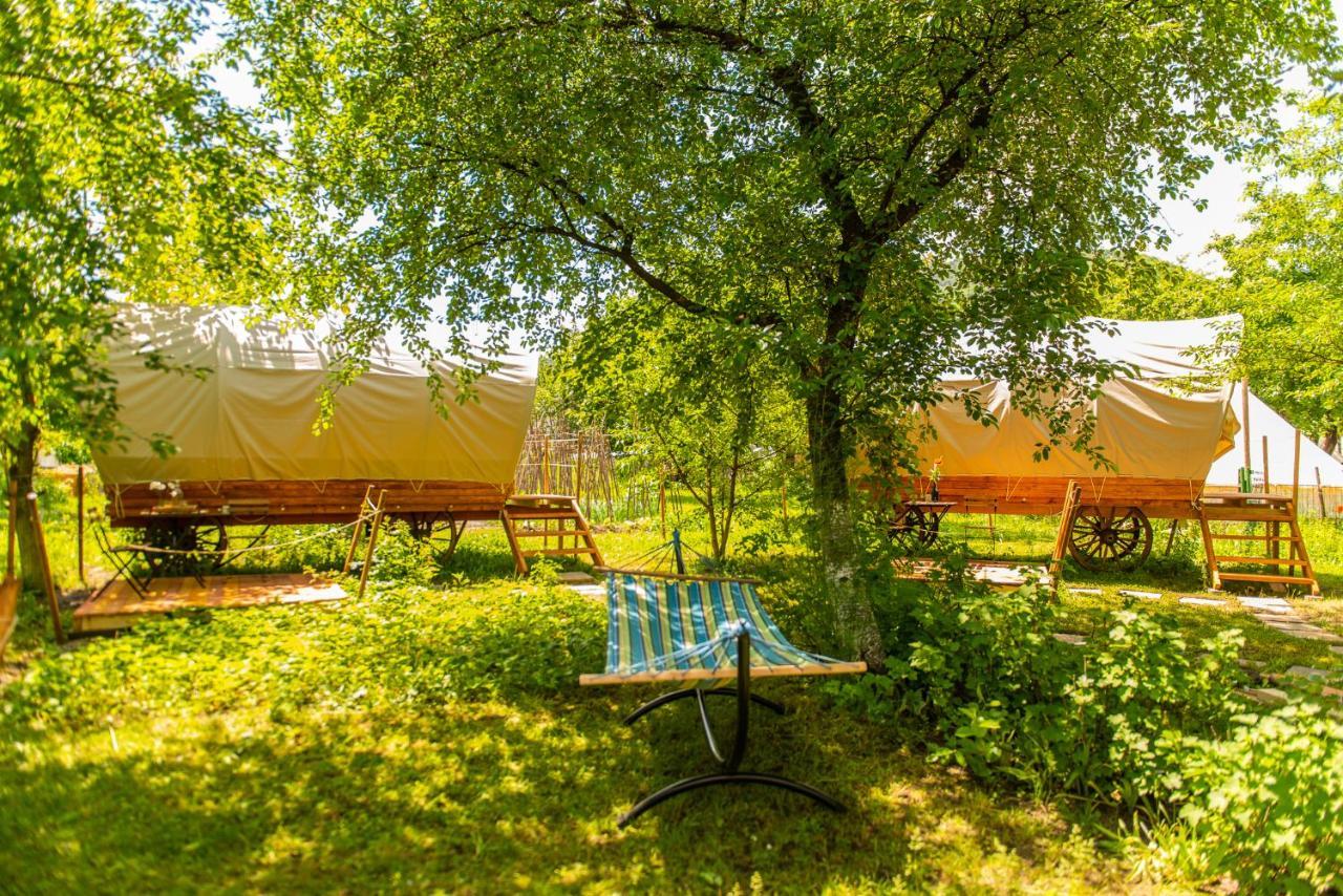 Hotel Dragonfly Gardens - The Wagons à Braşov Extérieur photo