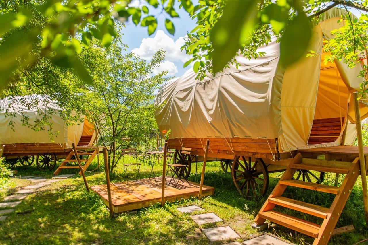 Hotel Dragonfly Gardens - The Wagons à Braşov Extérieur photo