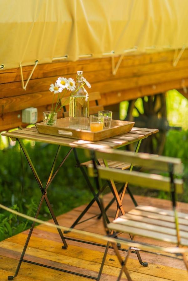 Hotel Dragonfly Gardens - The Wagons à Braşov Extérieur photo
