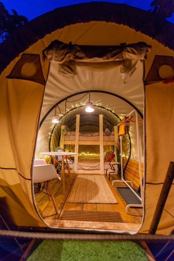 Hotel Dragonfly Gardens - The Wagons à Braşov Extérieur photo