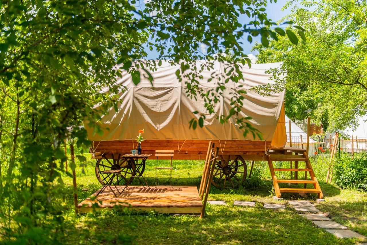 Hotel Dragonfly Gardens - The Wagons à Braşov Extérieur photo