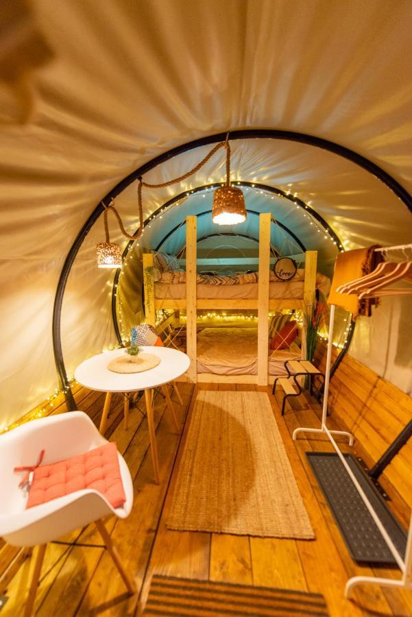 Hotel Dragonfly Gardens - The Wagons à Braşov Extérieur photo