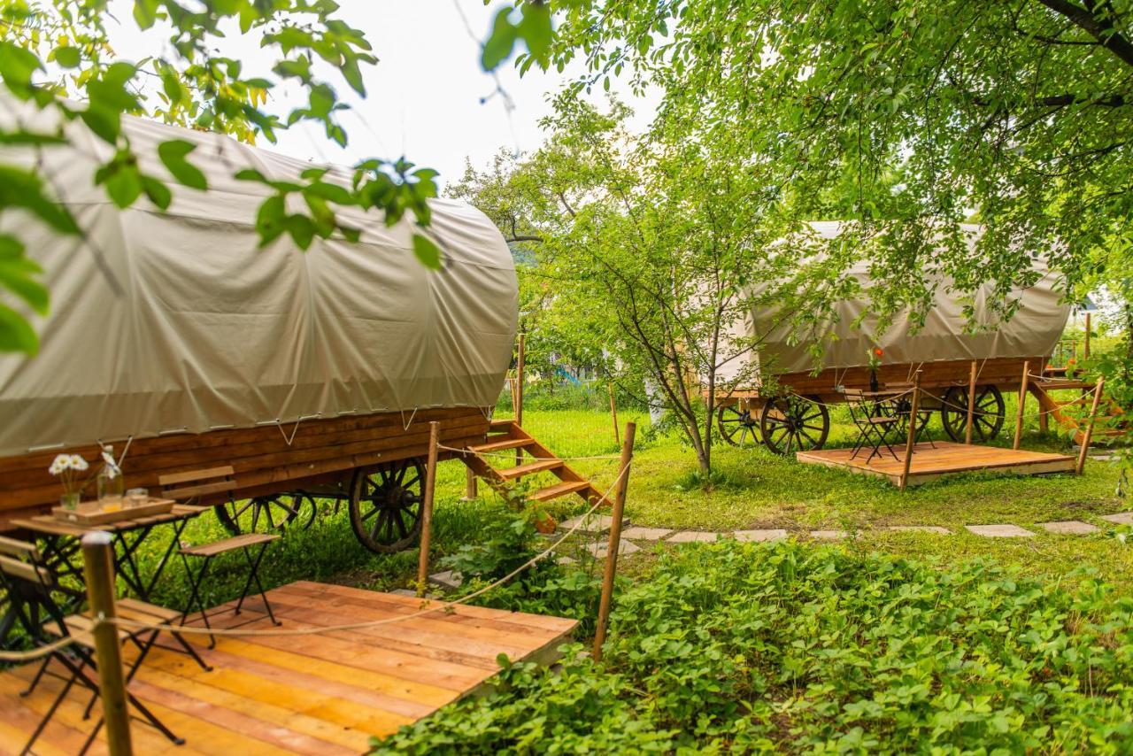 Hotel Dragonfly Gardens - The Wagons à Braşov Extérieur photo
