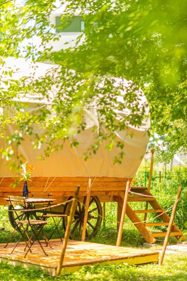 Hotel Dragonfly Gardens - The Wagons à Braşov Extérieur photo
