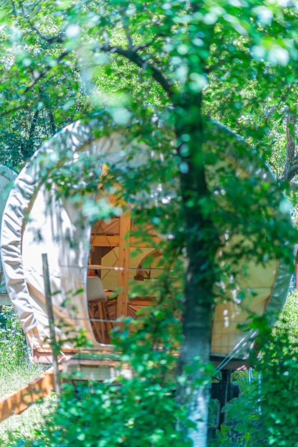 Hotel Dragonfly Gardens - The Wagons à Braşov Extérieur photo