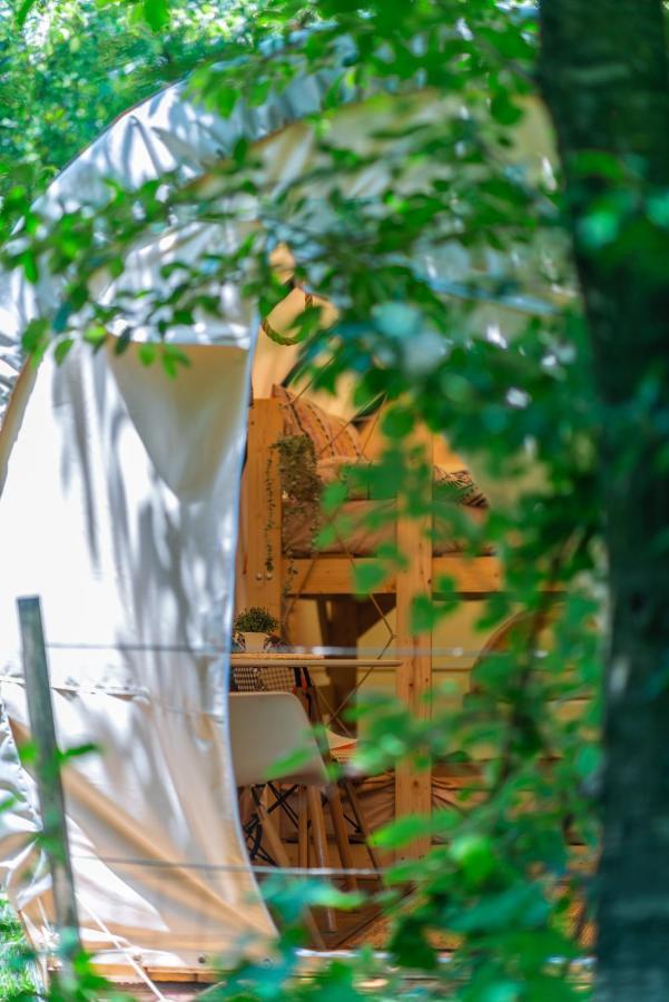 Hotel Dragonfly Gardens - The Wagons à Braşov Extérieur photo