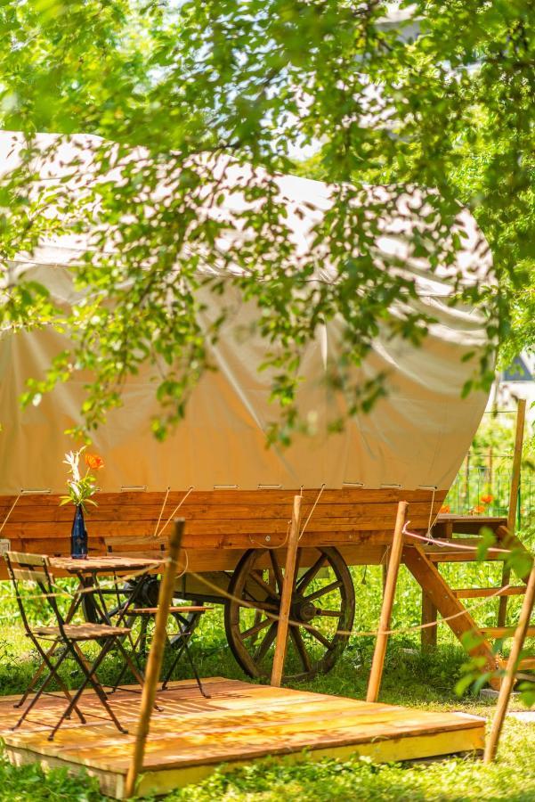 Hotel Dragonfly Gardens - The Wagons à Braşov Extérieur photo