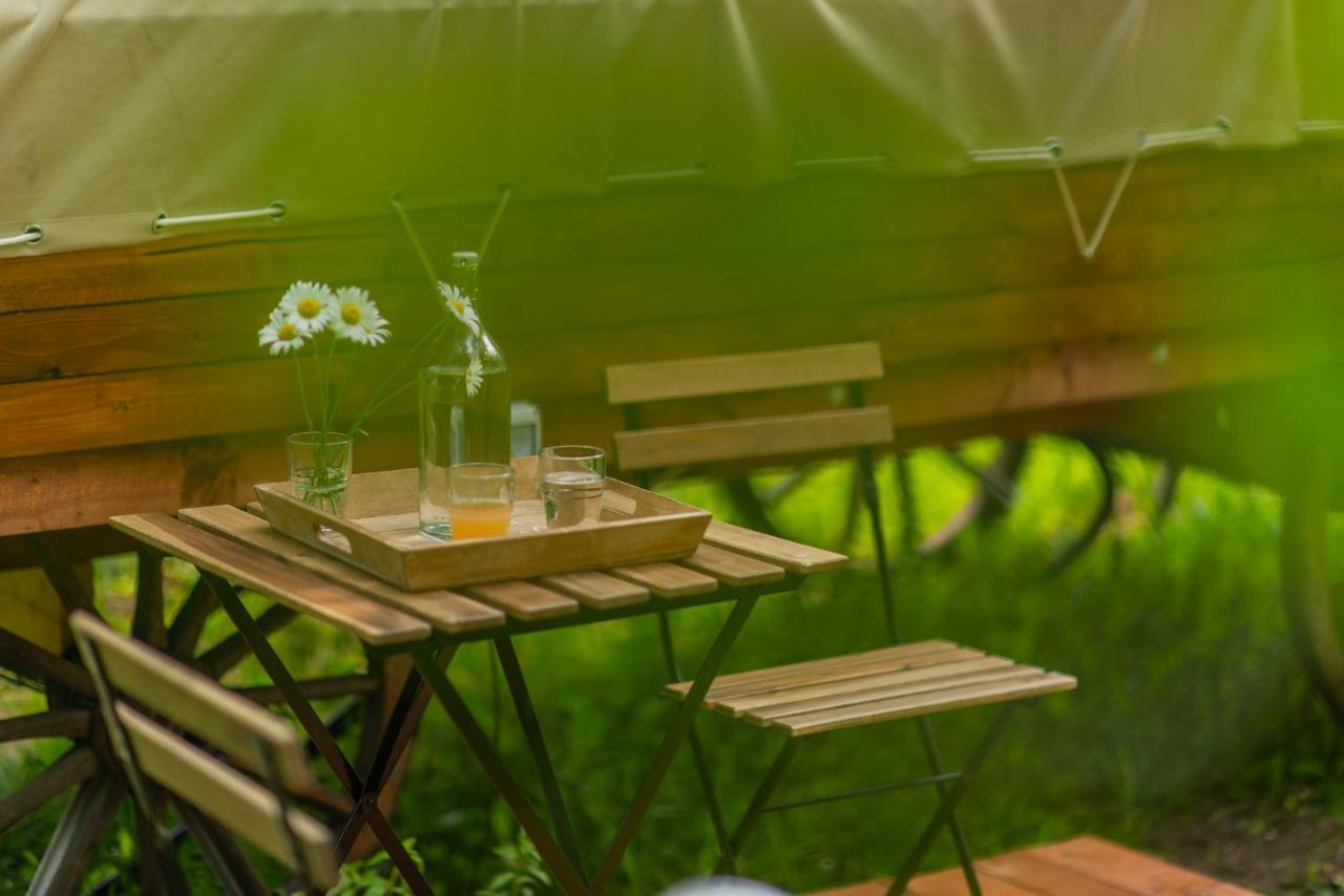 Hotel Dragonfly Gardens - The Wagons à Braşov Extérieur photo