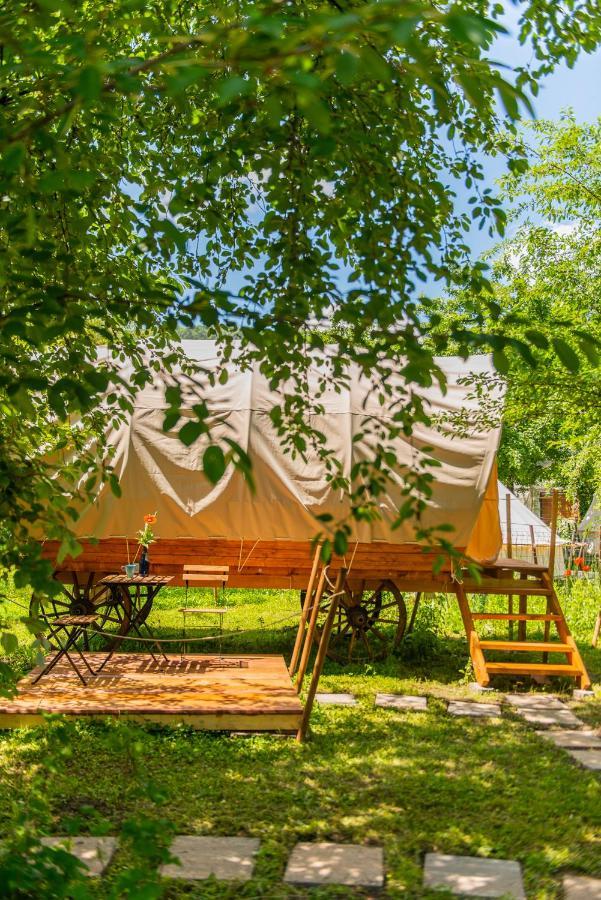 Hotel Dragonfly Gardens - The Wagons à Braşov Extérieur photo