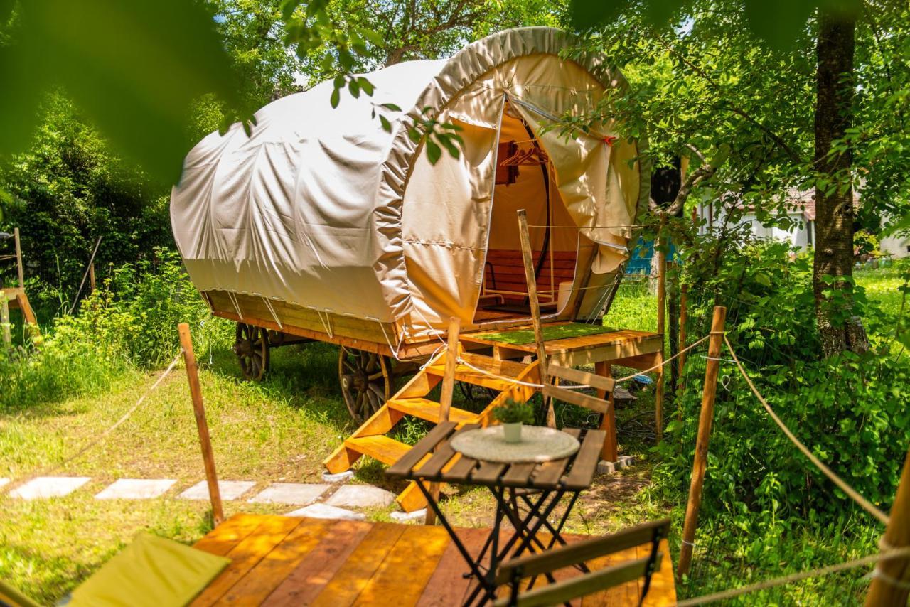 Hotel Dragonfly Gardens - The Wagons à Braşov Extérieur photo