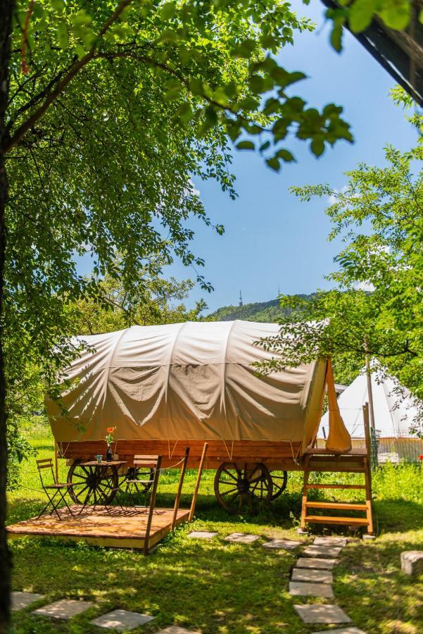 Hotel Dragonfly Gardens - The Wagons à Braşov Extérieur photo