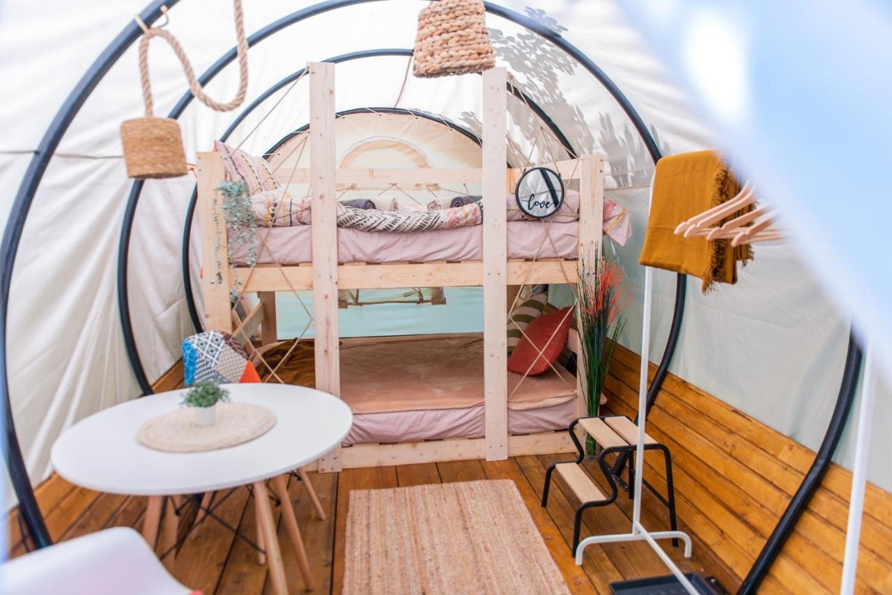Hotel Dragonfly Gardens - The Wagons à Braşov Extérieur photo