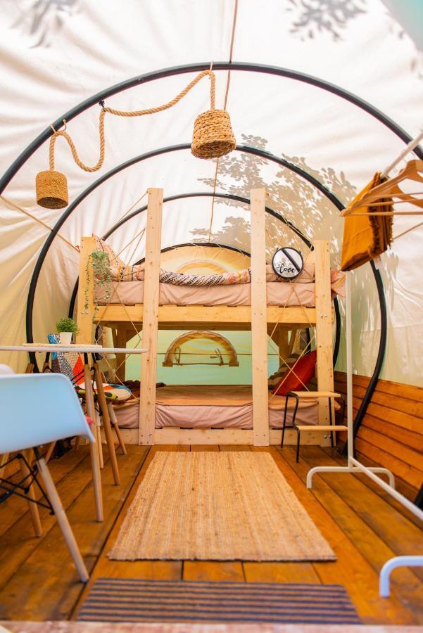 Hotel Dragonfly Gardens - The Wagons à Braşov Extérieur photo