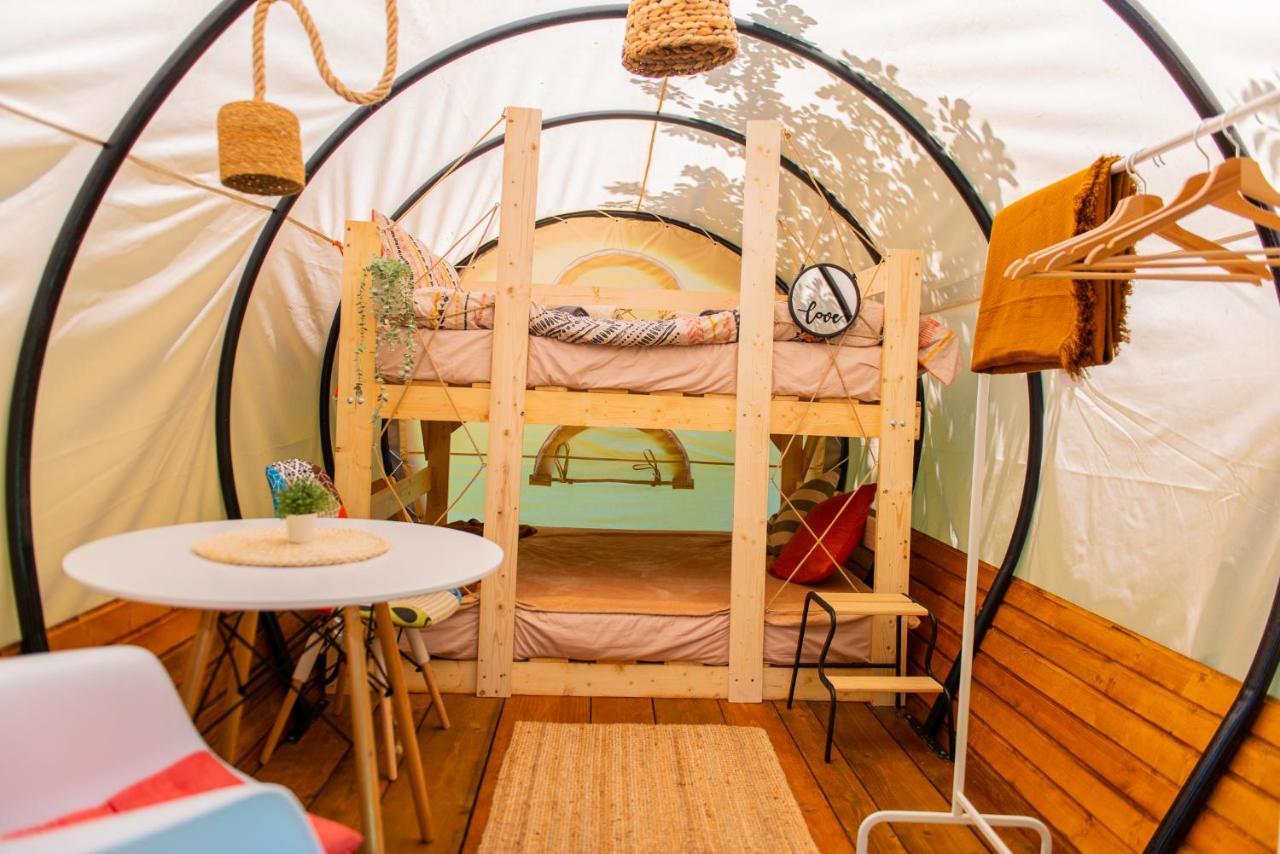 Hotel Dragonfly Gardens - The Wagons à Braşov Extérieur photo