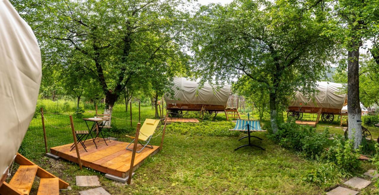 Hotel Dragonfly Gardens - The Wagons à Braşov Extérieur photo